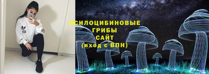 Галлюциногенные грибы MAGIC MUSHROOMS  где можно купить наркотик  Сертолово 